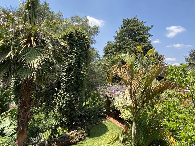 Manor on Lower Kabete - Gallery 35